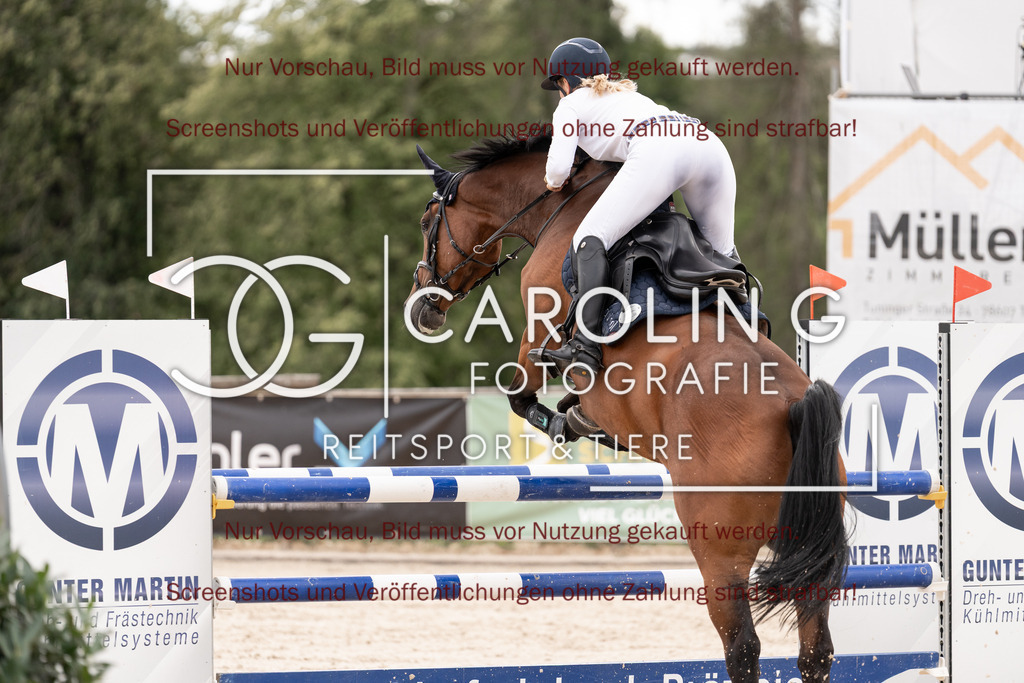 DSC06771 | Springturnier_Teamchallege_Talheim_2026, Clarissa_Schwär, Cranberry_19