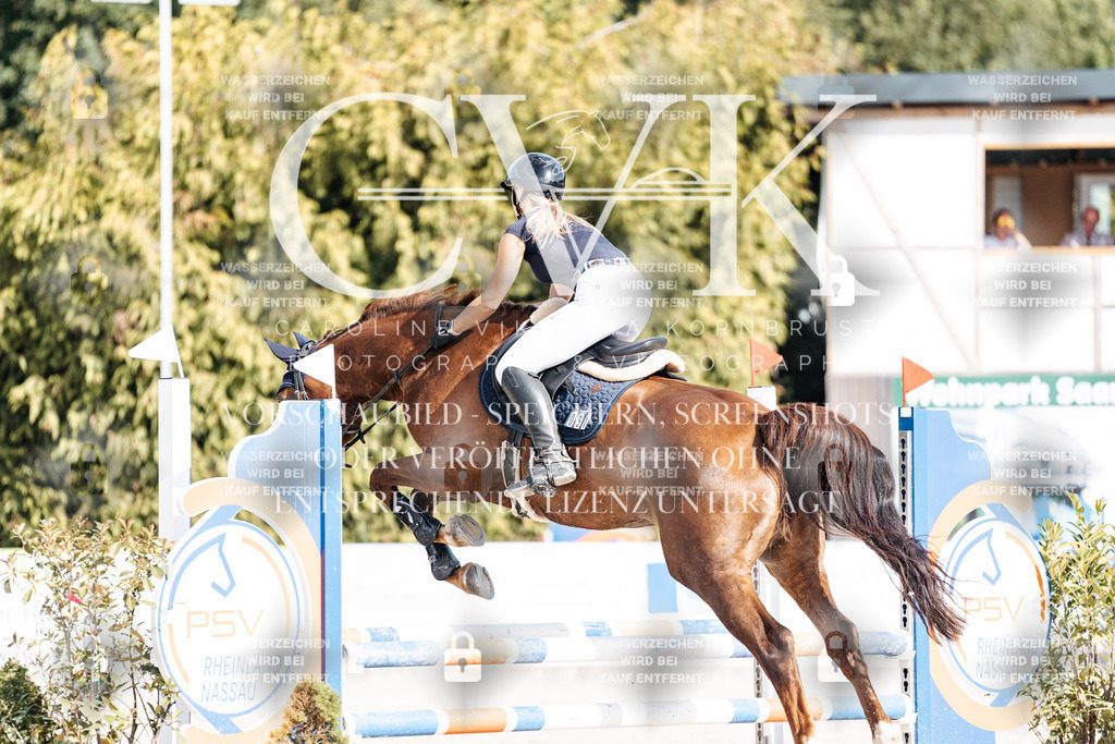 CK909117 | Turnierfotografie Pferdefotografie Trier Rheinland-Pfalz Pferdesport Reitsport Tierfotografie Sportfotografie Pferdevideo Pferdevideografie Equestrianvideography equestrianphotography  - Realisiert mit Pictrs.com