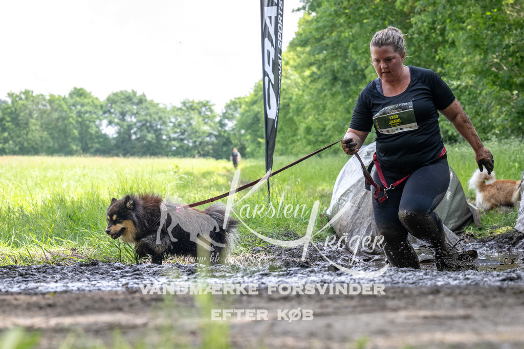 1240_ZZ92939 | kk-dogfotos