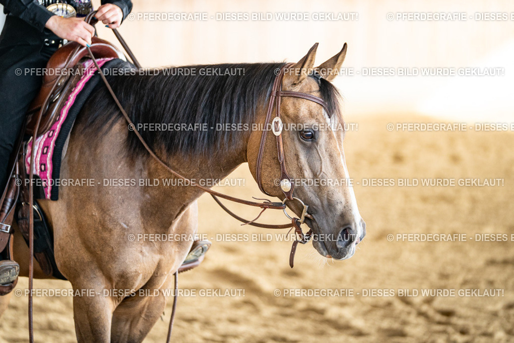 DSC07911 | Pferdegrafie