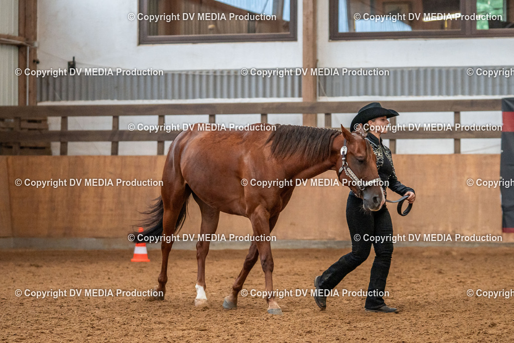 Neckargemünd Tag 1-085 | dv-media-shop - Realisiert mit Pictrs.com