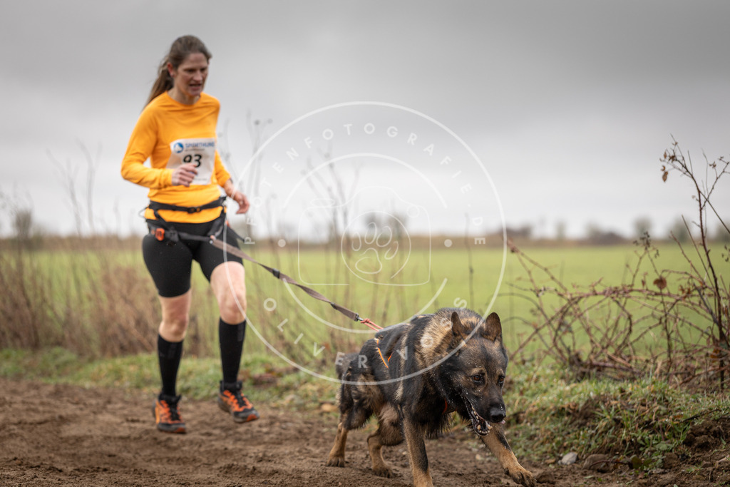 DV3A0052 | Hundefotografie, Tierfotograf, Pfotenfotografie, Fotoshooting Hund, Hunde Portrait, Hundesport, Hundeportraits, Heideshooting, Hunde, Sportfotograf, Hundefotograf, Turnierhundsport, THS,  - Realisiert mit Pictrs.com