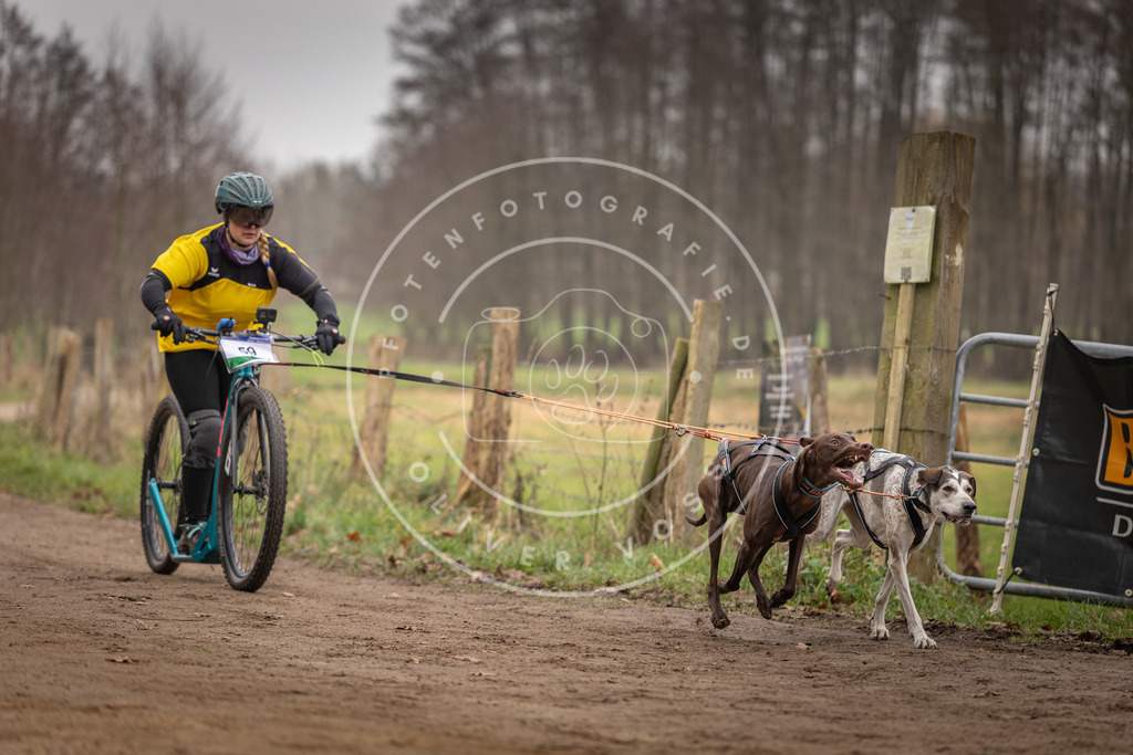 Pfotenfotografie_DV3A3200 | Hundefotografie, Tierfotograf, Pfotenfotografie, Fotoshooting Hund, Hunde Portrait, Hundesport, Hundeportraits, Heideshooting, Hunde, Sportfotograf, Hundefotograf, Turnierhundsport, THS,  - Realisiert mit Pictrs.com