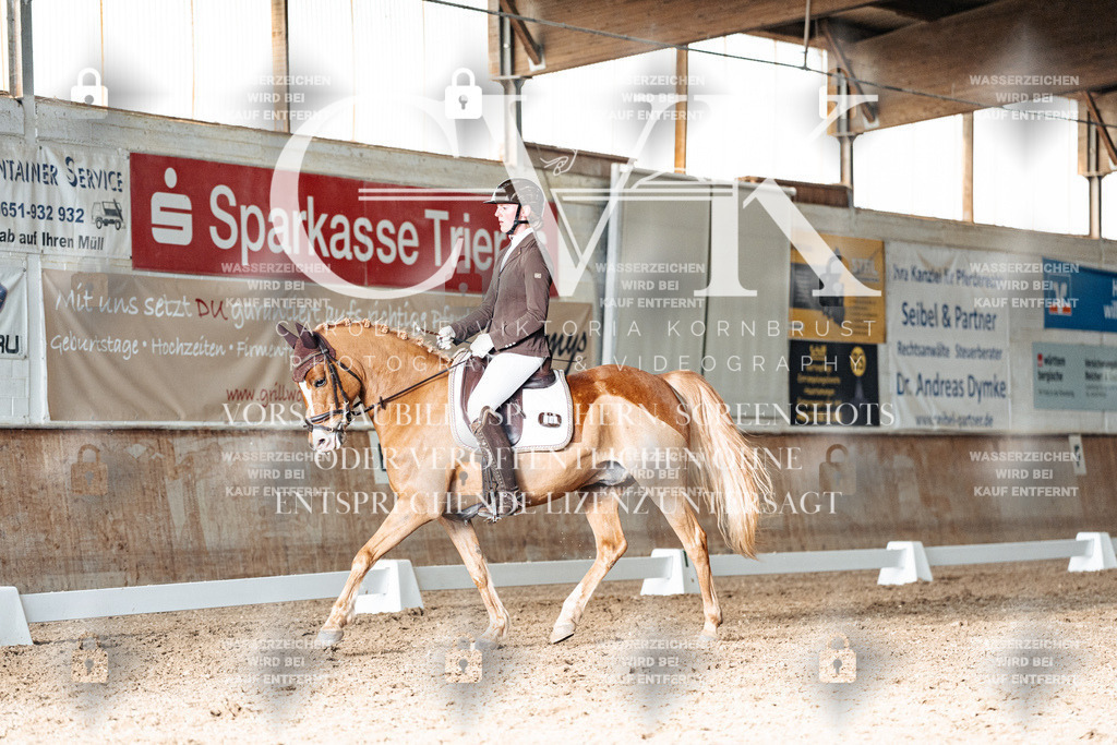 CK902928 | Turnierfotografie Pferdefotografie Trier Rheinland-Pfalz Pferdesport Reitsport Tierfotografie Sportfotografie Pferdevideo Pferdevideografie Equestrianvideography equestrianphotography  - Realisiert mit Pictrs.com
