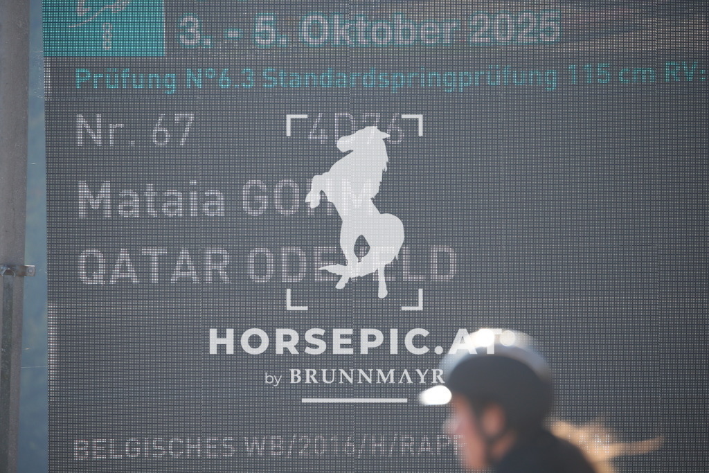 DL2Q1340 | Willkommen bei Brunnmayr - Design & Fotografie – Ihrem Spezialisten für Reitturniere und Pferdeveranstaltungen in Oberösterreich, Salzburg und Bayern! Seit über 17 Jahren sind wir leidenschaftlich dabei.