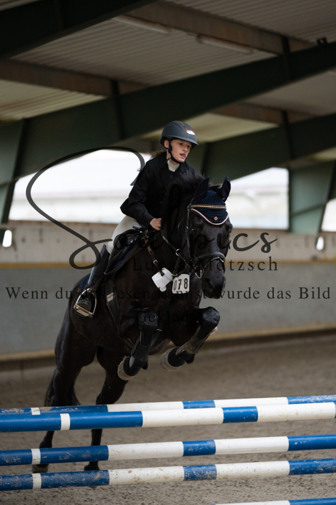 A7V07233 | Pferdefotograf