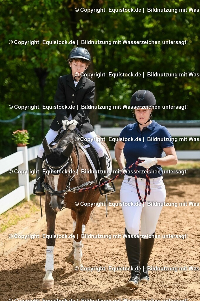 20230716_11_Führzügel-WB_0067 | equistock