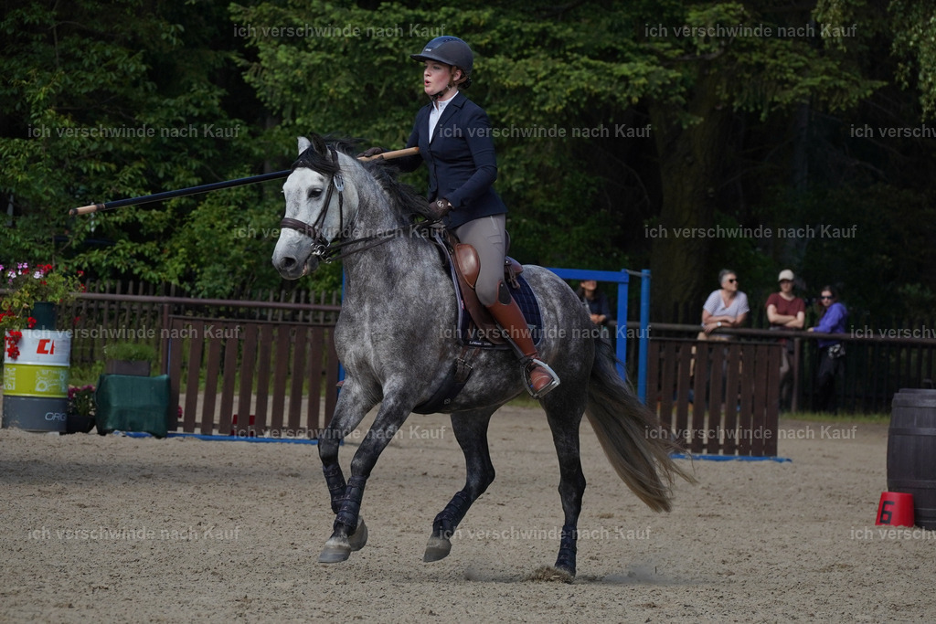 KlasseM_Lucie (3) | working equitationturnier fotograf videograf stoibphotography marixx film working equitation deutschland reitsport turnierfotografie eventfotografie equestrian events