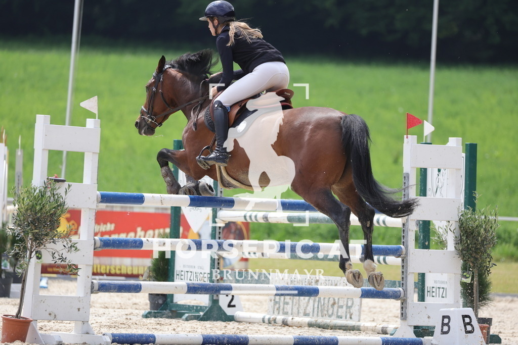 0P6A4638 | Willkommen bei Brunnmayr - Design & Fotografie – Ihrem Spezialisten für Reitturniere und Pferdeveranstaltungen in Oberösterreich, Salzburg und Bayern! Seit über 17 Jahren sind wir leidenschaftlich dabei.