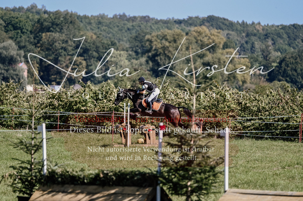 DSC_1772 | Pferde- und Turnierfotografie in Westsachsen. Pferdeportraits, Auftragszeichnungen und intuitive Kunst.
