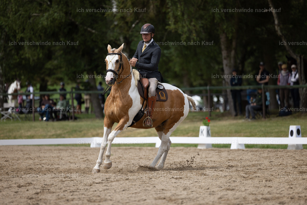 Masterclass_stoibphotography_C2_L5291.CR3 | working equitationturnier fotograf videograf stoibphotography marixx film working equitation deutschland reitsport turnierfotografie eventfotografie equestrian events