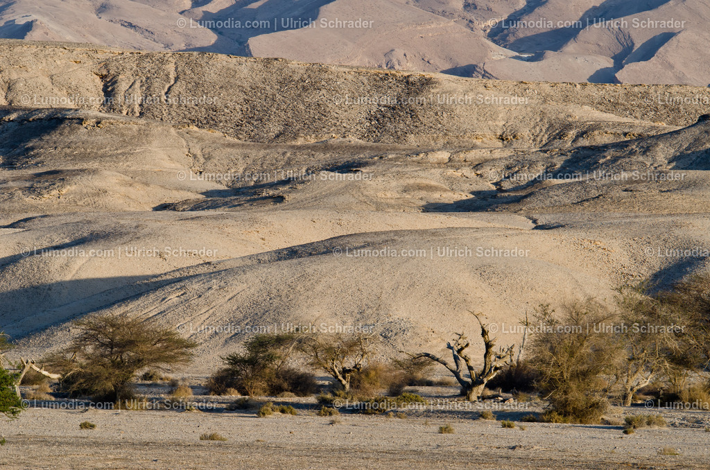 10972-10300 - Negev-Wüste _ Israel | max. Bildgröße A3 | 300dpi - Realisiert mit Pictrs.com