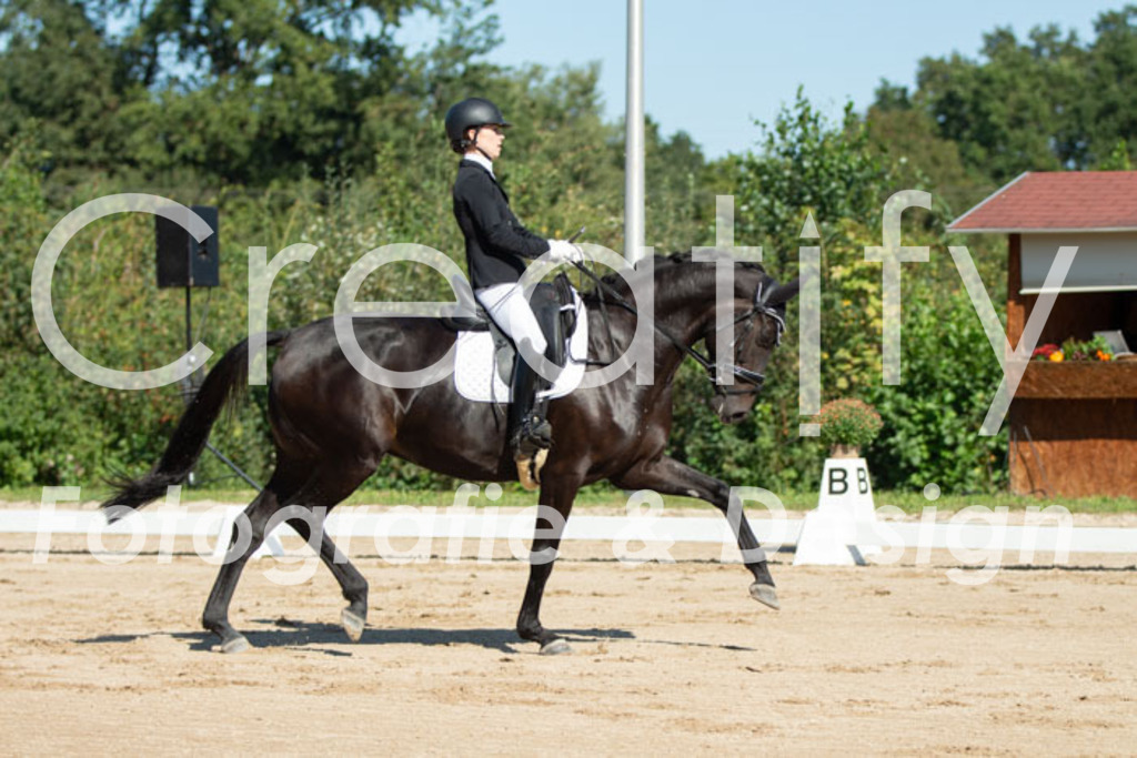 IMG_4817 | Creatify Fotografie