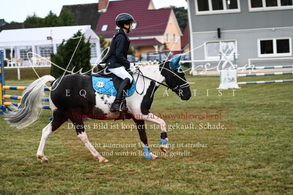 DSC_5464 | Pferde- und Turnierfotografie in Westsachsen. Pferdeportraits, Auftragszeichnungen und intuitive Kunst.