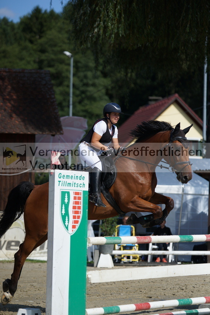 DSC01583 | equestrian-live-com