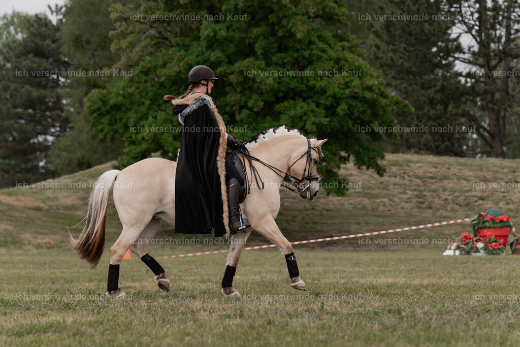 Showprogramm-339 | working equitationturnier fotograf videograf stoibphotography marixx film working equitation deutschland reitsport turnierfotografie eventfotografie equestrian events