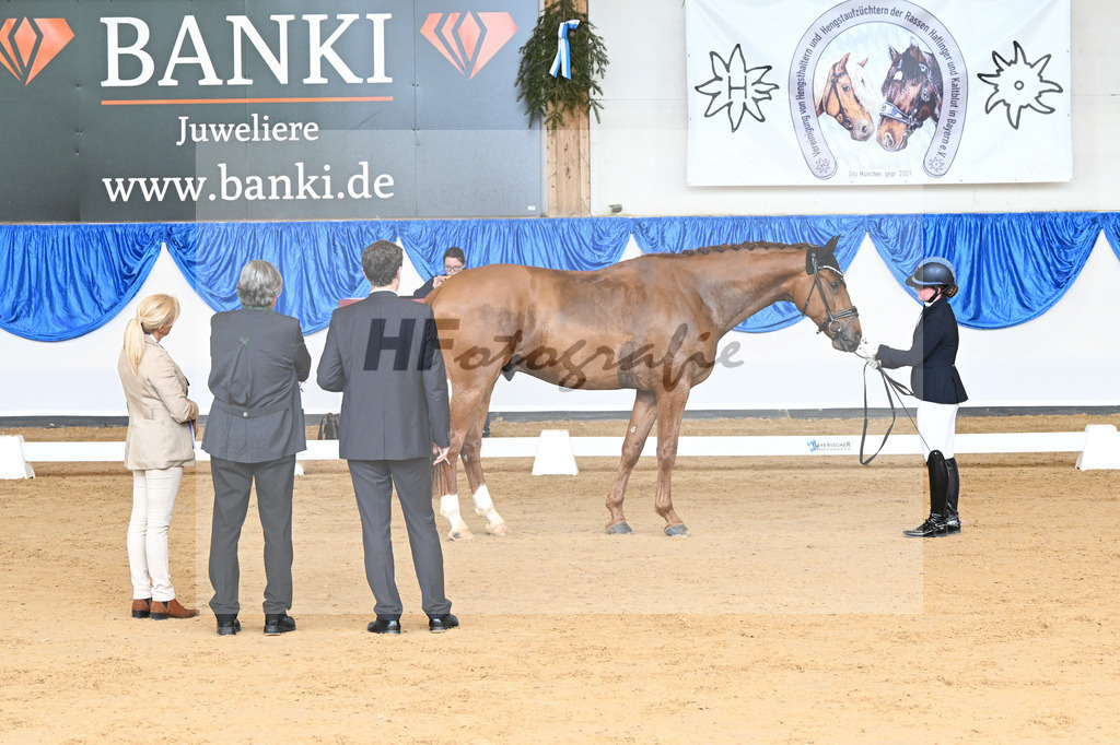 Rieger_Ventigo_10232019 | hf-fotografie - Realisiert mit Pictrs.com