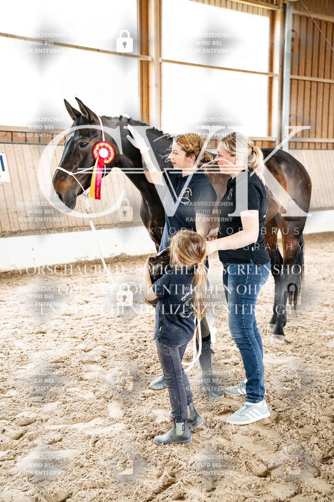 CK703272 | Turnierfotografie Pferdefotografie Trier Rheinland-Pfalz Pferdesport Reitsport Tierfotografie Sportfotografie Pferdevideo Pferdevideografie Equestrianvideography equestrianphotography  - Realisiert mit Pictrs.com