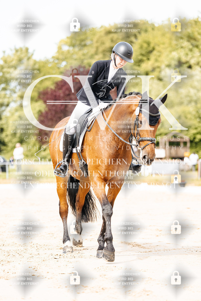 CK900999 | Turnierfotografie Pferdefotografie Trier Rheinland-Pfalz Pferdesport Reitsport Tierfotografie Sportfotografie Pferdevideo Pferdevideografie Equestrianvideography equestrianphotography  - Realisiert mit Pictrs.com