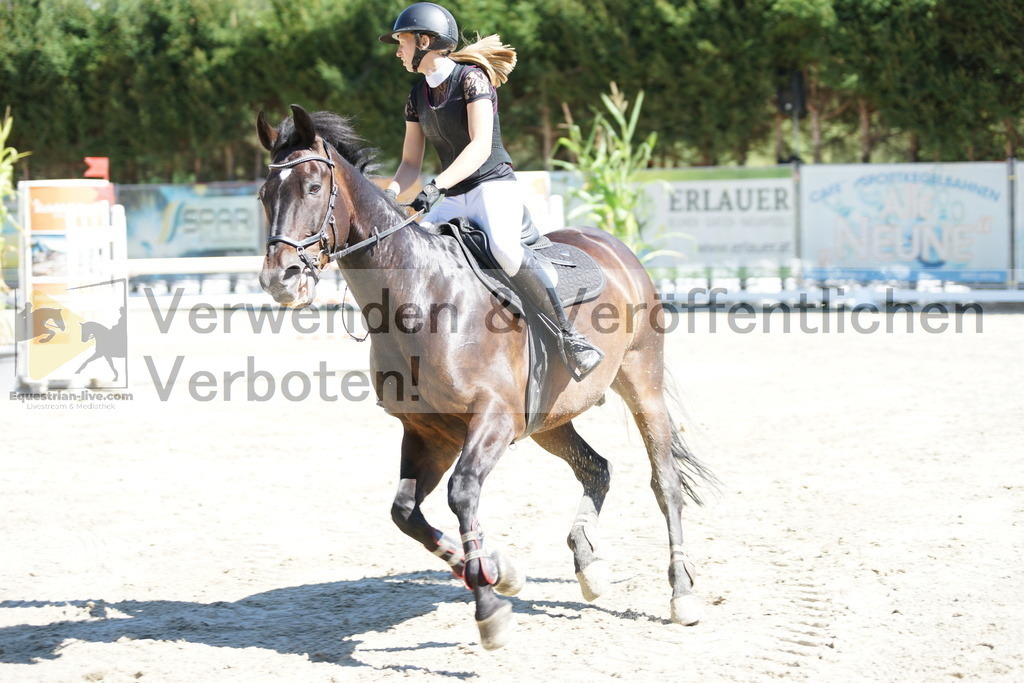DSC02552 | equestrian-live-com
