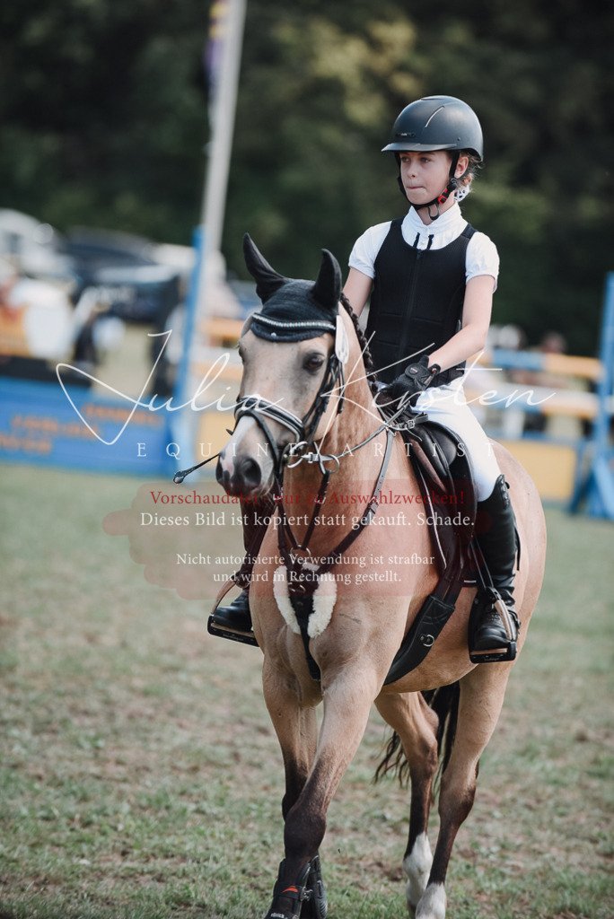 DSC_5808 | Pferde- und Turnierfotografie in Westsachsen. Pferdeportraits, Auftragszeichnungen und intuitive Kunst.
