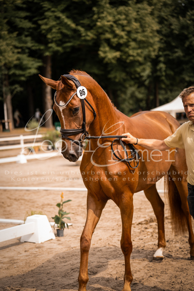 5.Fr00123 | Leoni Ertmer Photography - Realisiert mit Pictrs.com