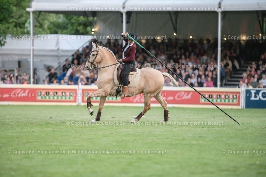 20230526_Pferdenacht_0696 | equistock