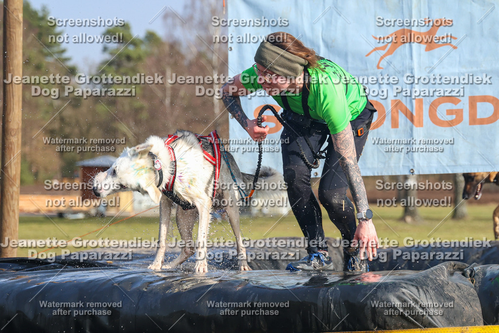 Dog Paparazzi - Strongdog North Mrz26-2739 | Dog Paparazzi Jeanette Grottendiek Fotografie & Videografie - Realisiert mit Pictrs.com