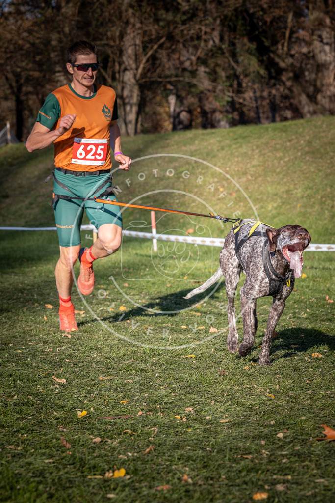 CaniXpix_0L8A8827 | Hundefotografie, Tierfotograf, Pfotenfotografie, Fotoshooting Hund, Hunde Portrait, Hundesport, Hundeportraits, Heideshooting, Hunde, Sportfotograf, Hundefotograf, Turnierhundsport, THS,  - Realisiert mit Pictrs.com