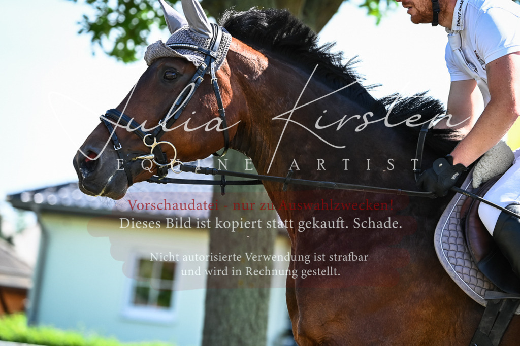 DSC_1658 | Pferde- und Turnierfotografie in Westsachsen. Pferdeportraits, Auftragszeichnungen und intuitive Kunst.