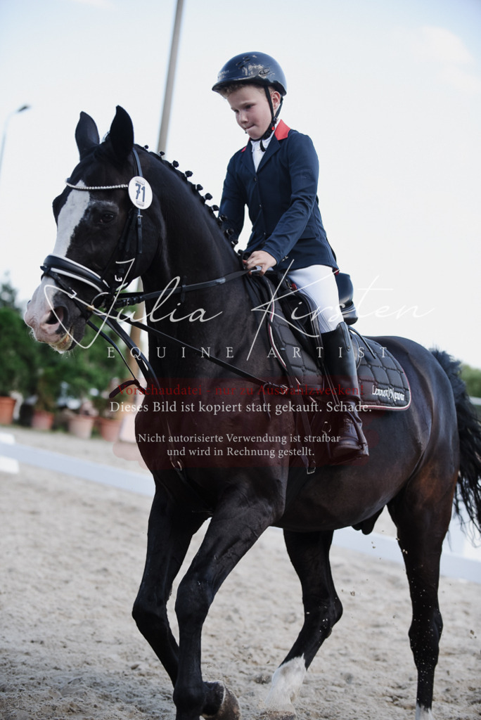 DSC_9965 | Pferde- und Turnierfotografie in Westsachsen. Pferdeportraits, Auftragszeichnungen und intuitive Kunst.