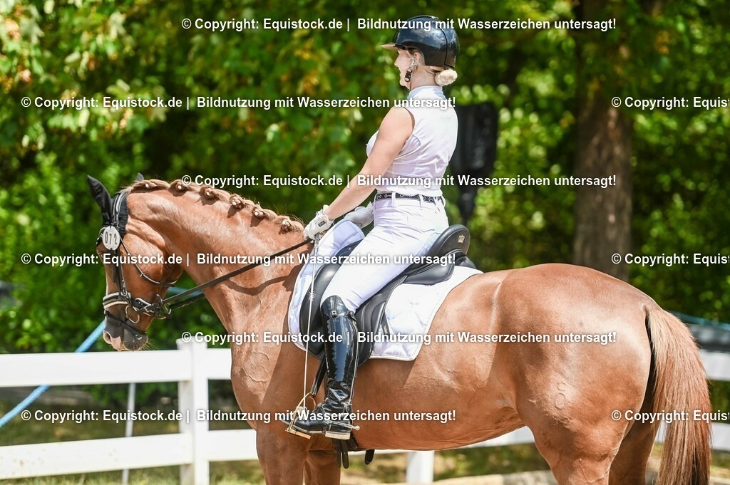 20230716_03_Dressurprfg. Kl.L - Tr._0537 | equistock