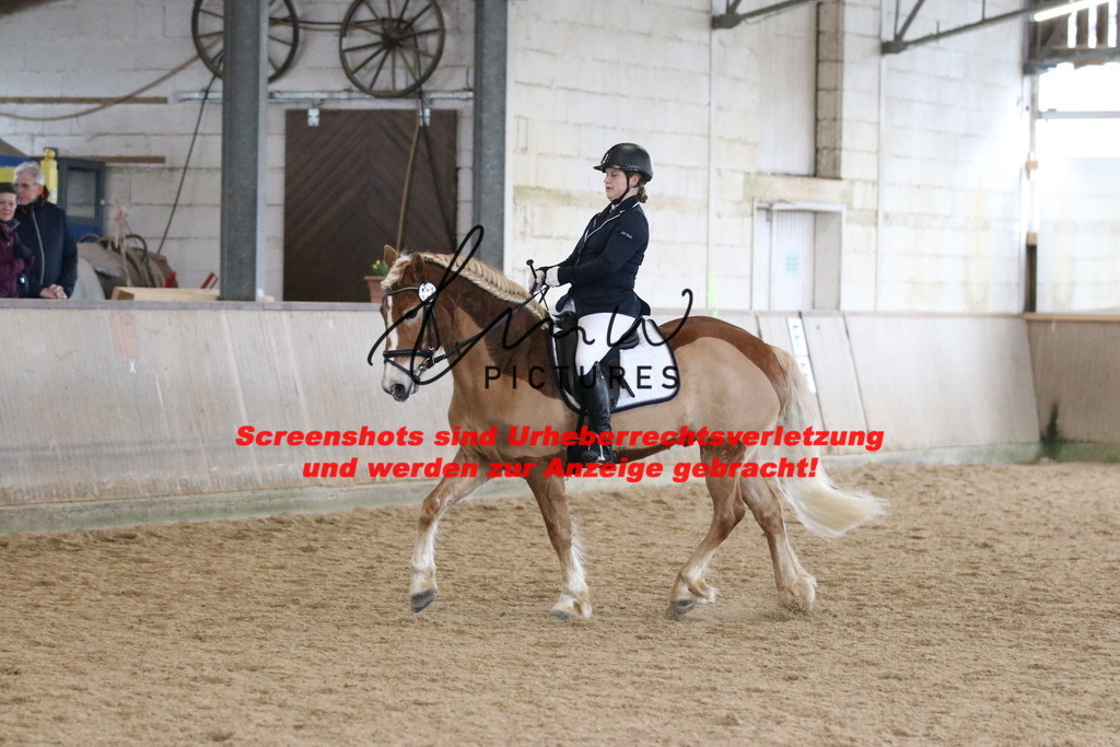 IMG_8281 | lmwpictures - Realisiert mit Pictrs.com