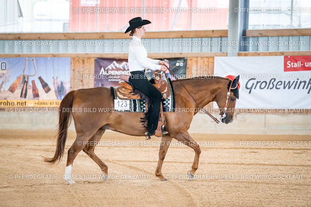 DSC01157 | Pferdegrafie