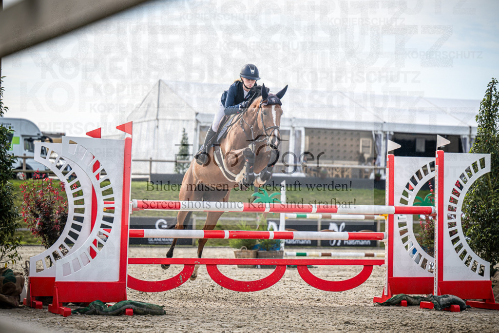 DOS_6672 | Entdecke hochwertige Reitturnierfotos von Foto Oger. Professionell, emotional und authentisch – jetzt Lieblingsmomente im Shop bestellen.Deutschlandweite Turnierfotografie. - Realisiert mit Pictrs.com