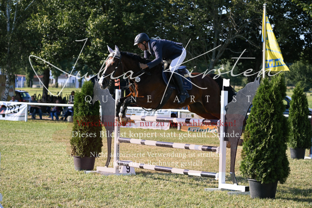DSC_1638 | Pferde- und Turnierfotografie in Westsachsen. Pferdeportraits, Auftragszeichnungen und intuitive Kunst.