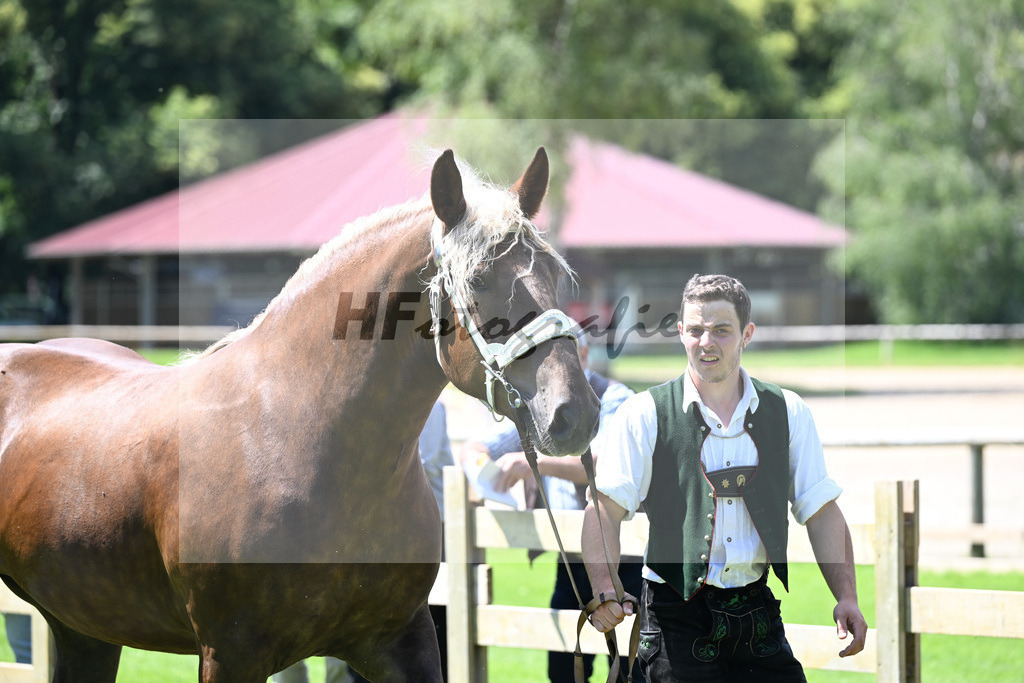 Kat-Nr. 40 Pogba v. Sombrero_Holzer_22240664 | hf-fotografie - Realizzato con Pictrs.com