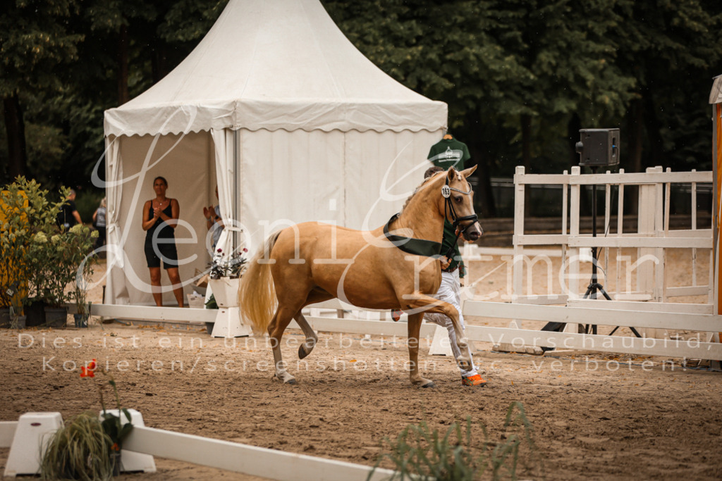 10.-12.Elite00148 | Leoni Ertmer Photography - Realisiert mit Pictrs.com