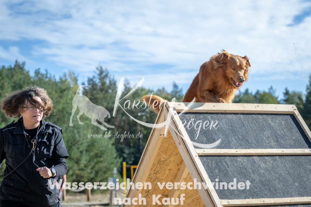 1455_ZZ91975 | kk-dogfotos