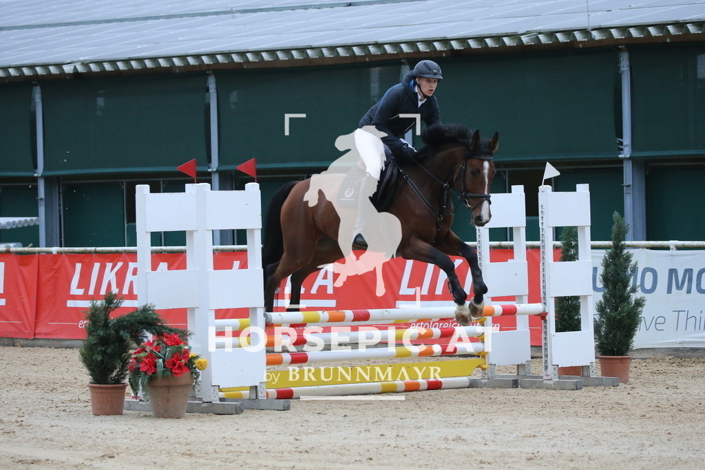 DL2Q3756 | Willkommen bei Brunnmayr - Design & Fotografie – Ihrem Spezialisten für Reitturniere und Pferdeveranstaltungen in Oberösterreich, Salzburg und Bayern! Seit über 17 Jahren sind wir leidenschaftlich dabei.