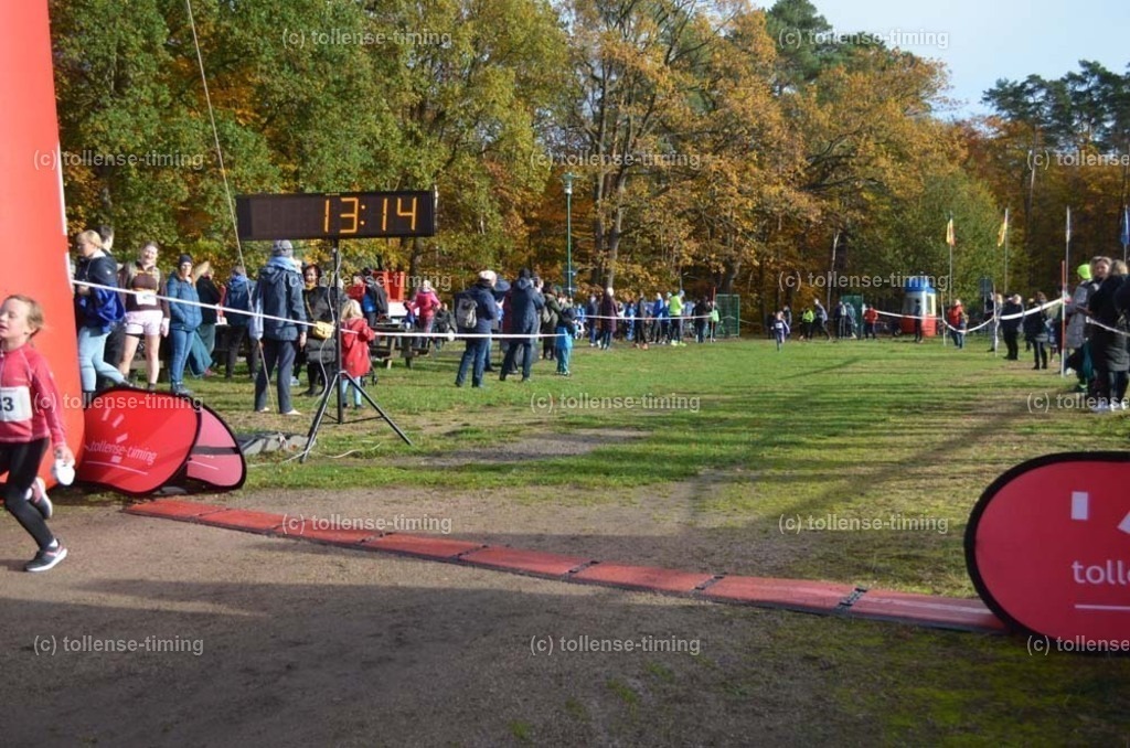 TTT_9395 | Foto | tollense-timing - Realisiert mit Pictrs.com