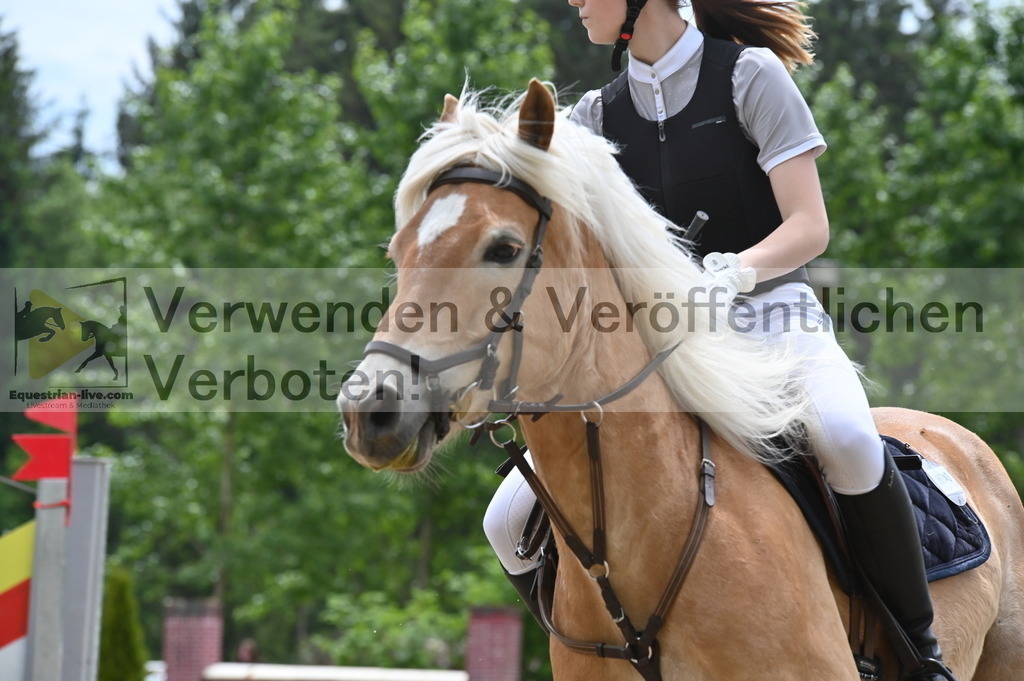 DSC_8332 | equestrian-live-com