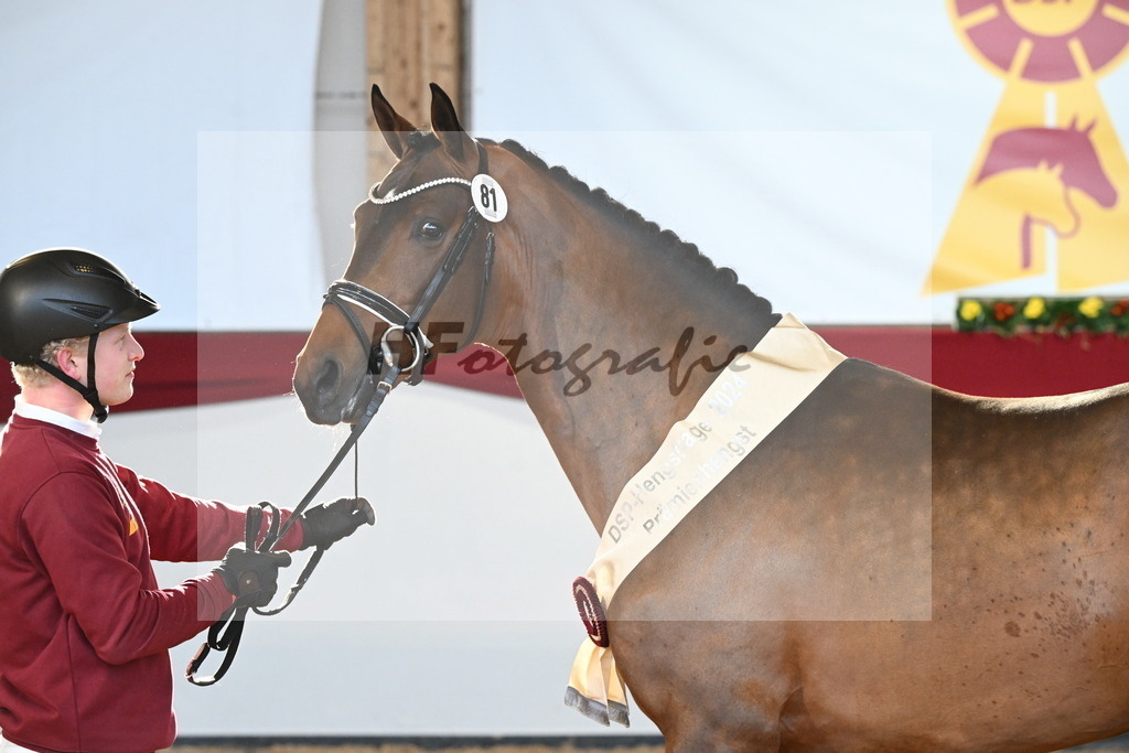 Kat.-Nr. 81 v. Vivino_Freisel_2242923 | hf-fotografie - Realisiert mit Pictrs.com