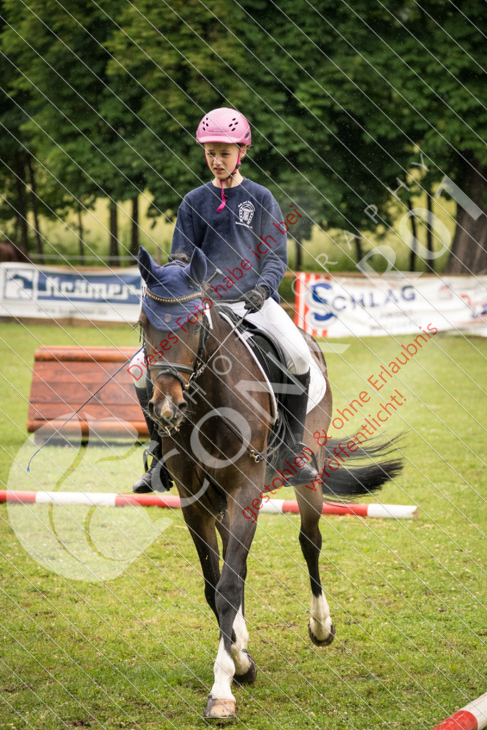 DSC_4750 | Sport-, Event- und Tierfotos in Profiqualität. Einfach auswählen, bestellen und herunterladen. Dein Moment – perfekt festgehalten.