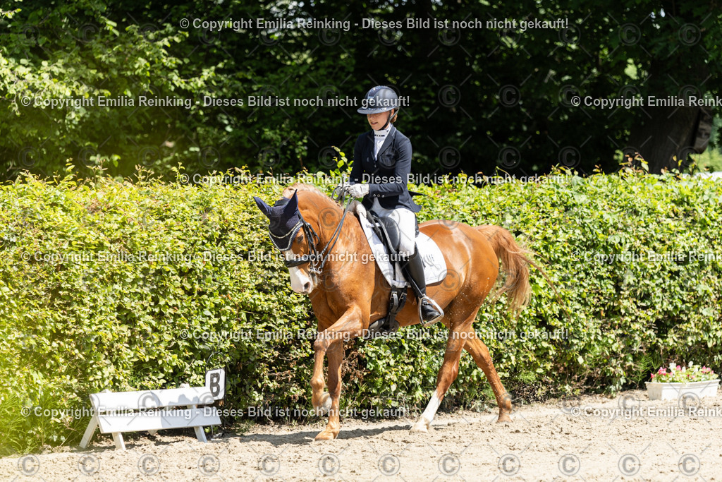 CL5A8960 | Emilia Reinking Fotografie - Realisiert mit Pictrs.com