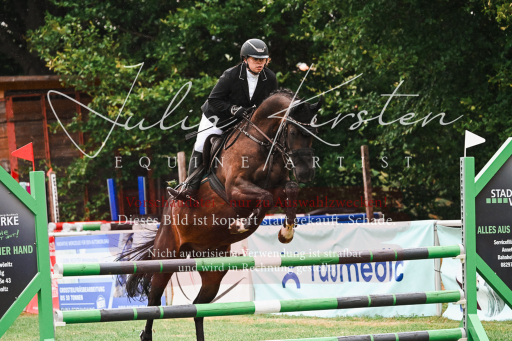 DSC_6458 | Pferde- und Turnierfotografie in Westsachsen. Pferdeportraits, Auftragszeichnungen und intuitive Kunst.