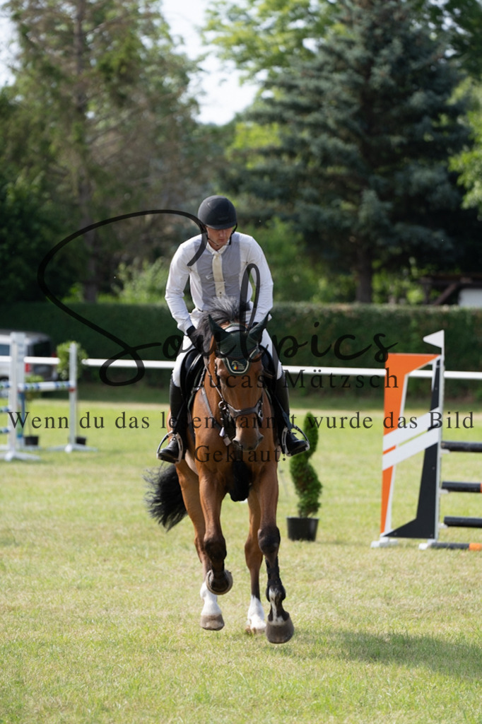 A7V01510 | Pferdefotograf