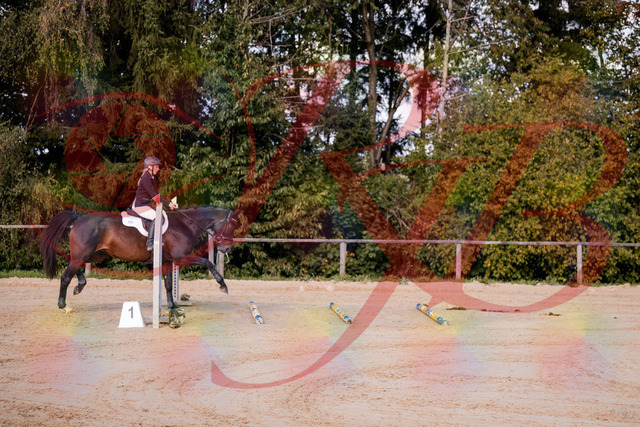 2026_10_03_Siefer-Hof_143955_Z81_10153092 | Professionelle Reitsport-, Turnier- und Eventfotografie von Robert Broda. Galerien mit ausgewählten und bearbeiteten Bildern direkt online ansehen und bestellen.