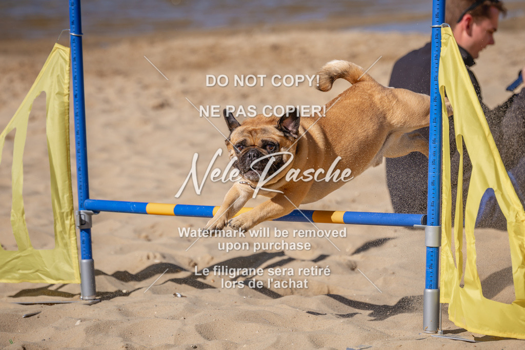 NR__0680 | nelerasche