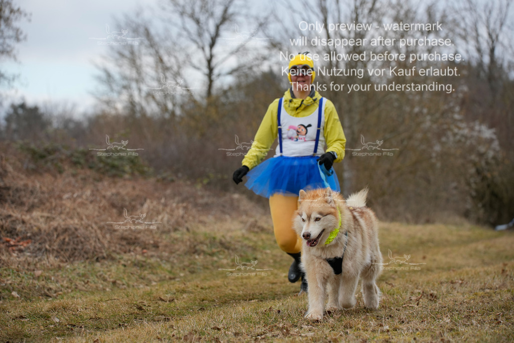 2Fasching-10 | stephaniefillaphotographie - Realisiert mit Pictrs.com